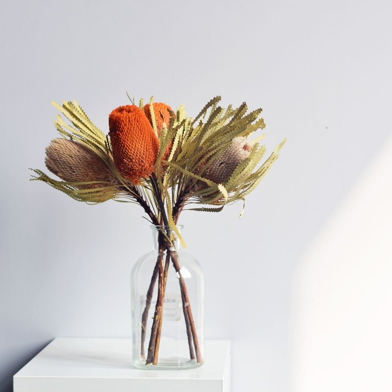 Boho Decor Best Selling Natural Colorful Banksia Protea For Flower Bouquet