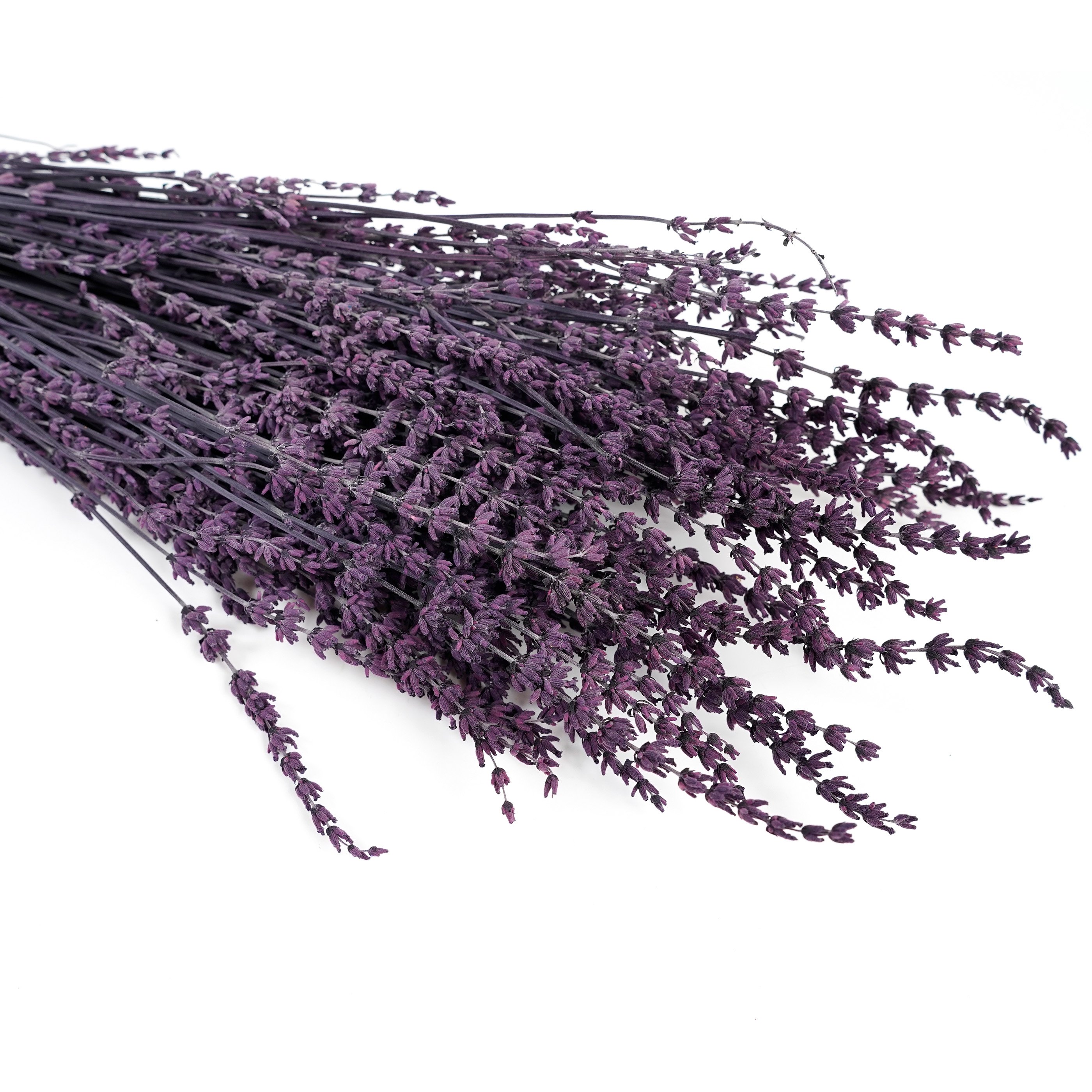 Wholesale Dried Lavender Bundles 100% Natural Dried Lavender Flowers For Home Decoration Photo Props Home Fragrance