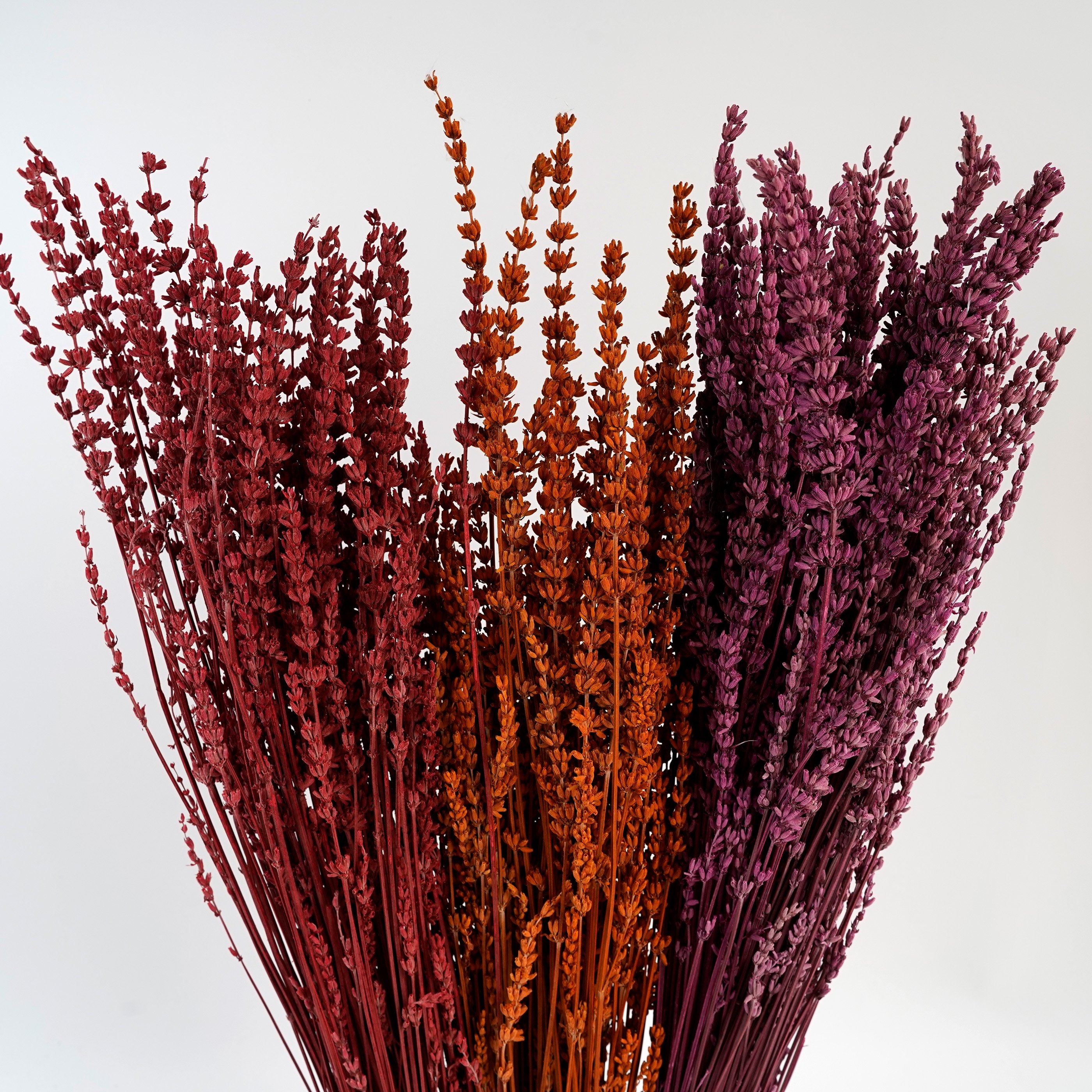 Wholesale Dried Lavender Bundles 100% Natural Dried Lavender Flowers For Home Decoration Photo Props Home Fragrance