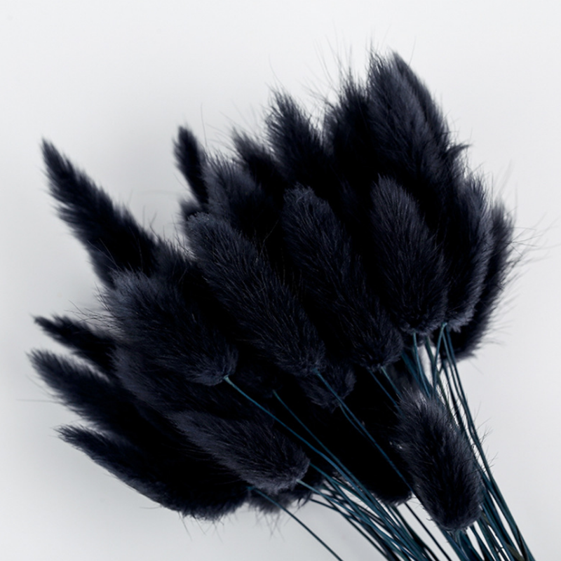 H05307 Dried Lagurus Ovatus Flower Fluffy Rabbit Tail Grass Natural 50cm bunny tails dried flowers Dried Lagurus Ovatus