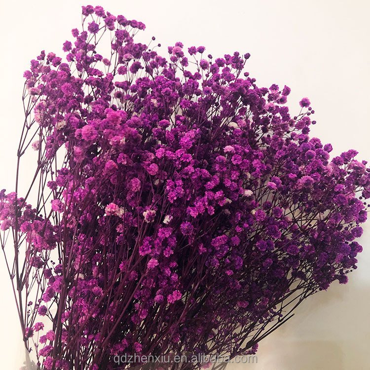 Dried Flowers Baby Breath Bouquet Natural Gypsophila for Home Wedding Table Vase Decor