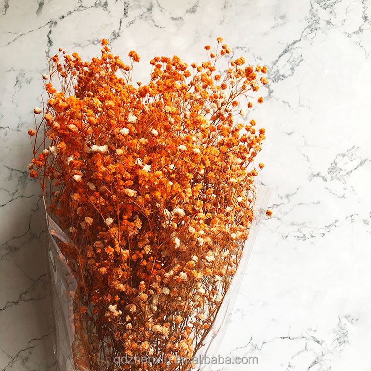 Dried Flowers Baby Breath Bouquet Natural Gypsophila for Home Wedding Table Vase Decor