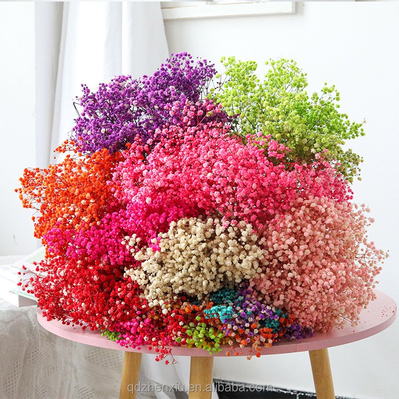 Dried Flowers Baby Breath Bouquet Natural Gypsophila for Home Wedding Table Vase Decor
