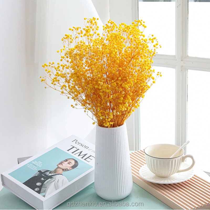 Dried Flowers Baby Breath Bouquet Natural Gypsophila for Home Wedding Table Vase Decor