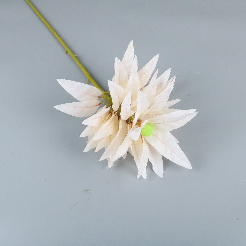 Wholesale Dried Flowers Christmas New Year Home Decor Wedding Arrangement Bouquet Materials Preserved Fortune Fruit