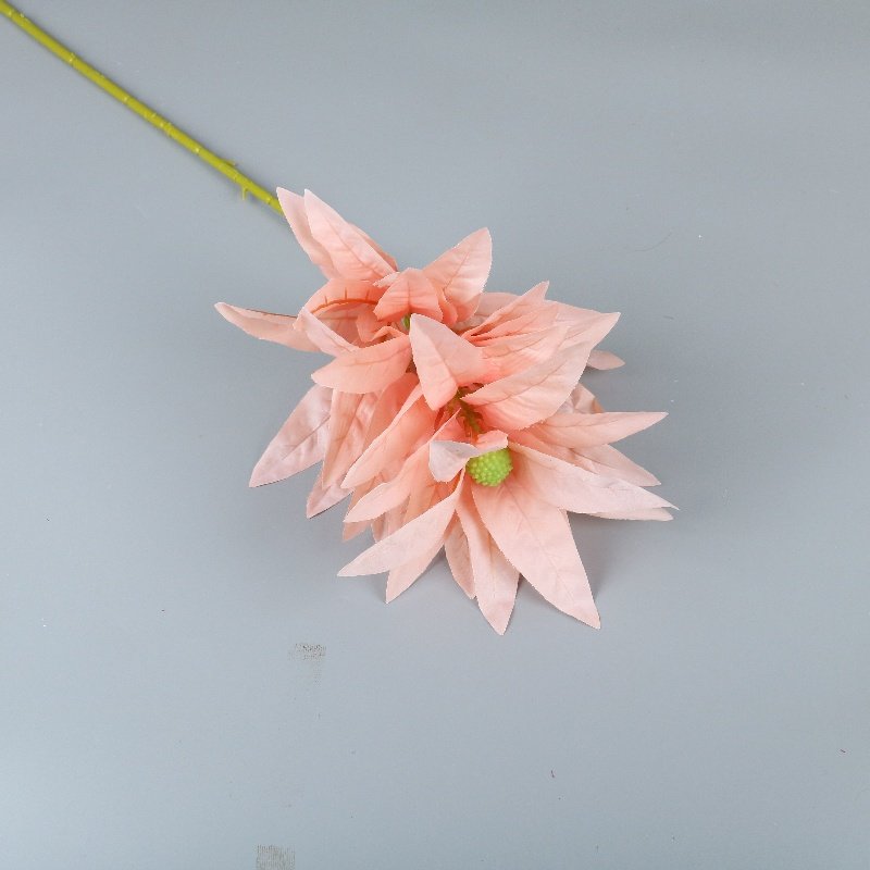 Wholesale Dried Flowers Christmas New Year Home Decor Wedding Arrangement Bouquet Materials Preserved Fortune Fruit