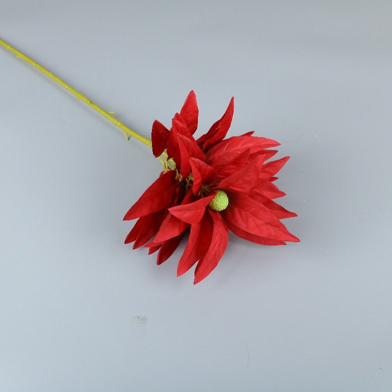 Wholesale Dried Flowers Christmas New Year Home Decor Wedding Arrangement Bouquet Materials Preserved Fortune Fruit