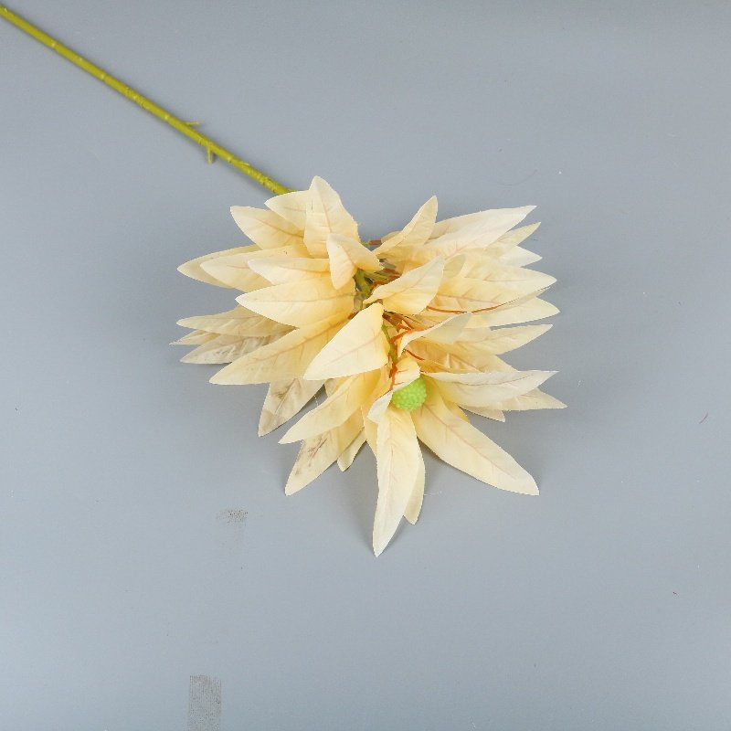 Wholesale Dried Flowers Christmas New Year Home Decor Wedding Arrangement Bouquet Materials Preserved Fortune Fruit