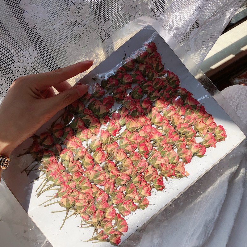 MNR1945 dried rose flowers dry for nails pressed
