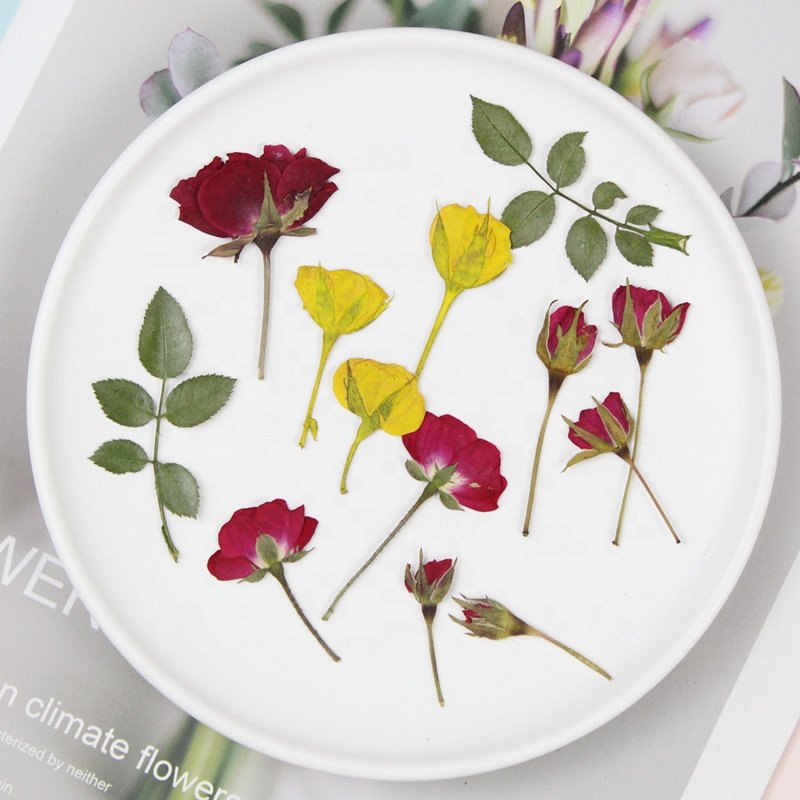 MNR1945 dried rose flowers dry for nails pressed