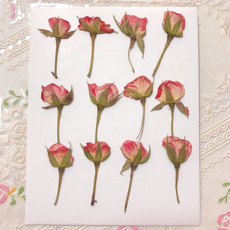 MNR1945 dried rose flowers dry for nails pressed
