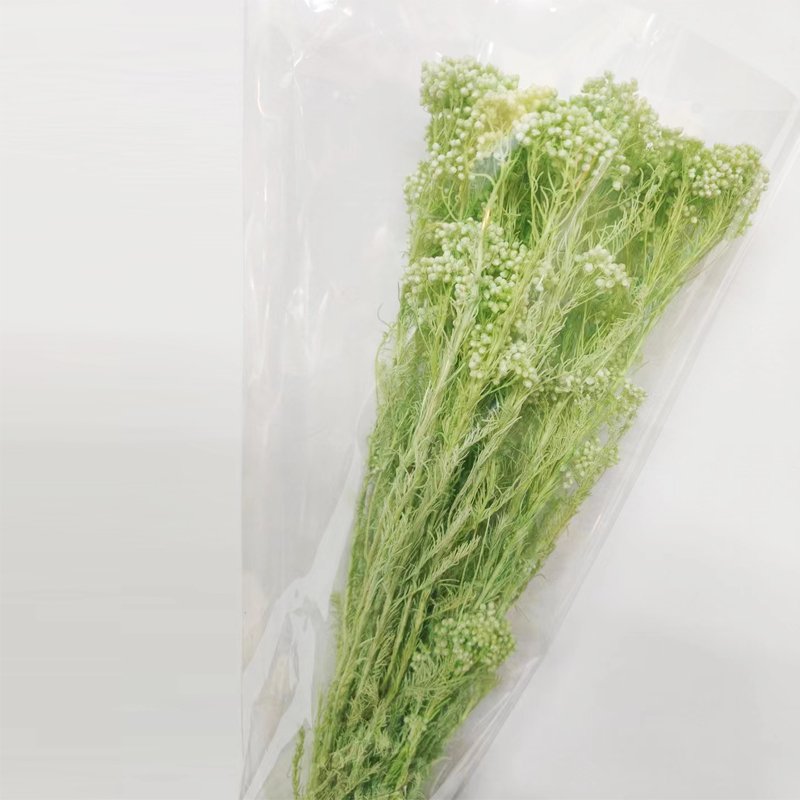 Hot Sale High Quality Natural Preserved Millet Flower Eternal Real Rice Flower for Home Decoration