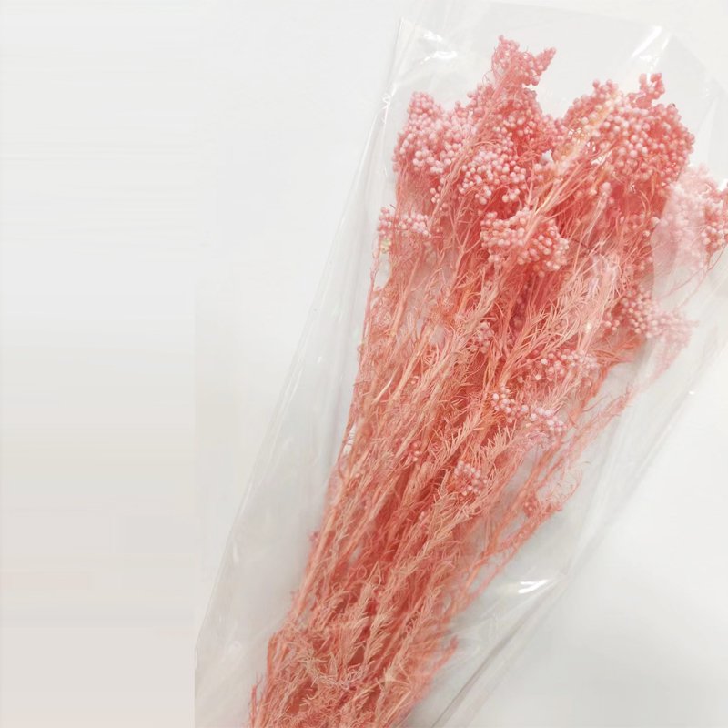 Hot Sale High Quality Natural Preserved Millet Flower Eternal Real Rice Flower for Home Decoration