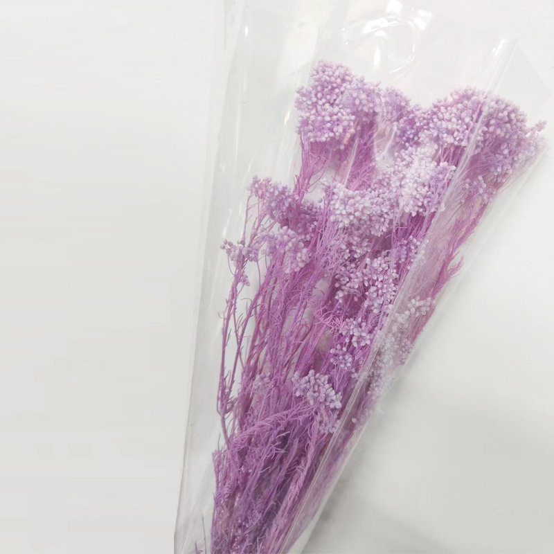 Hot Sale High Quality Natural Preserved Millet Flower Eternal Real Rice Flower for Home Decoration