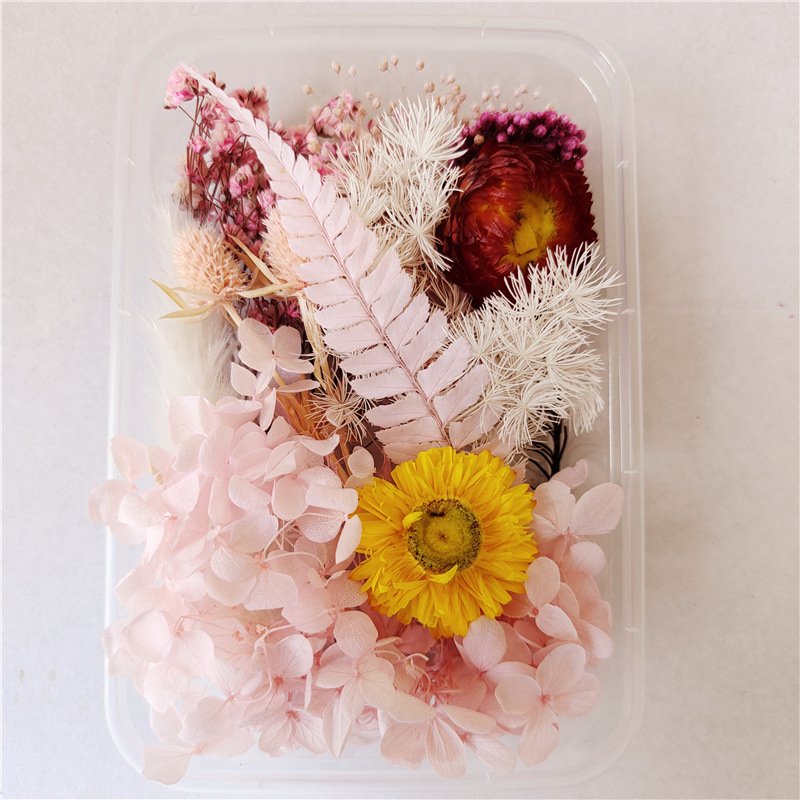 Diy Flowers Craft Decoration Mixed Color Box Enternal Dry Plants Flower Dried Flowers For Diy Accessories Jewelry Frame