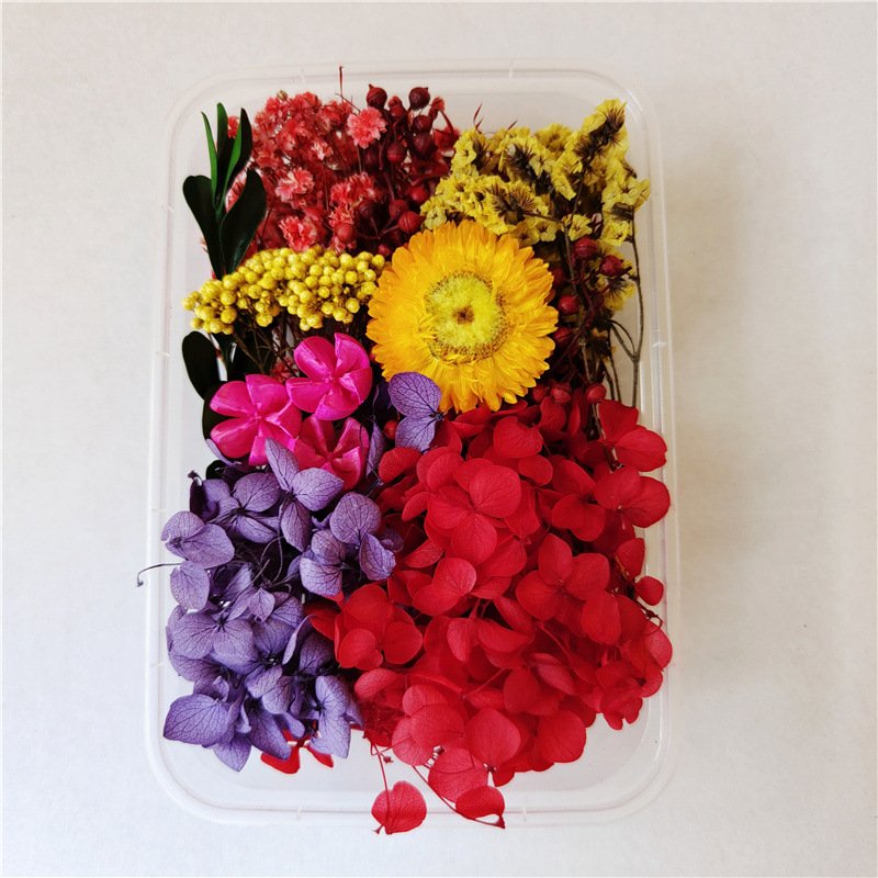 Diy Flowers Craft Decoration Mixed Color Box Enternal Dry Plants Flower Dried Flowers For Diy Accessories Jewelry Frame