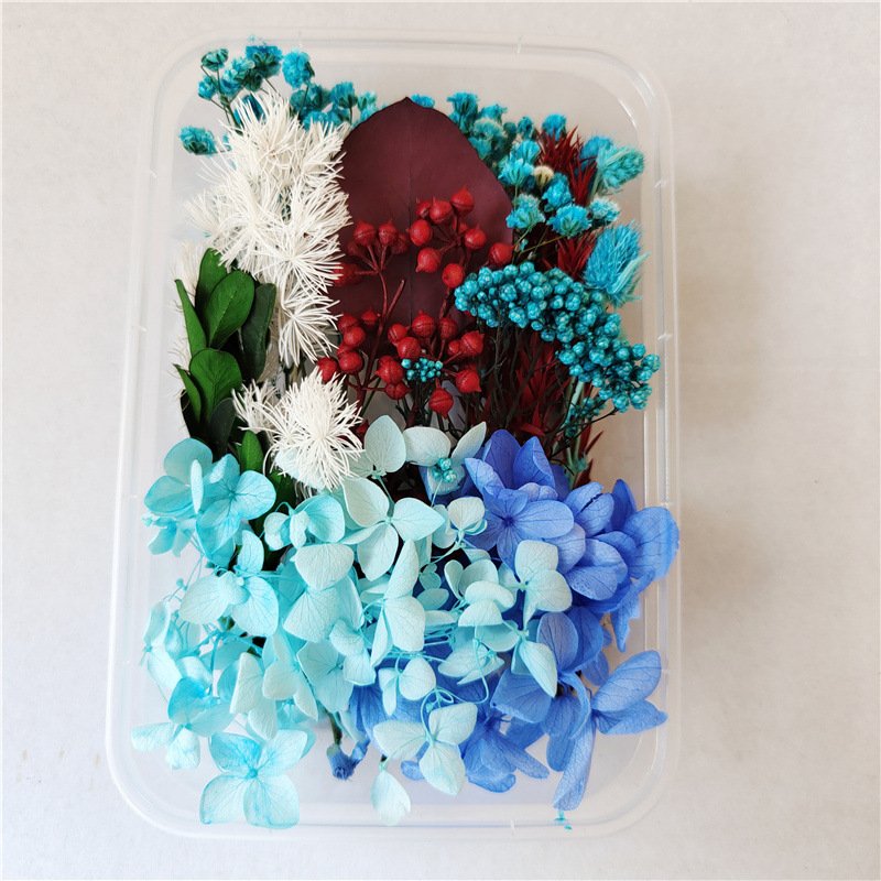 Diy Flowers Craft Decoration Mixed Color Box Enternal Dry Plants Flower Dried Flowers For Diy Accessories Jewelry Frame