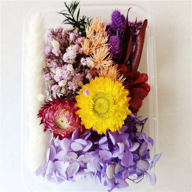 Diy Flowers Craft Decoration Mixed Color Box Enternal Dry Plants Flower Dried Flowers For Diy Accessories Jewelry Frame