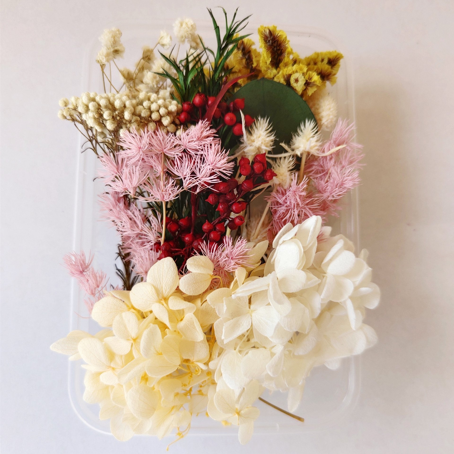 Diy Flowers Craft Decoration Mixed Color Box Enternal Dry Plants Flower Dried Flowers For Diy Accessories Jewelry Frame