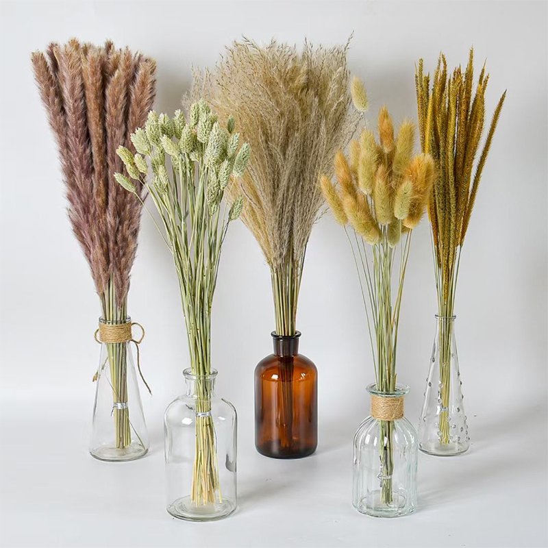 Wedding Home Decoration 45cm Length Dried Pampass Dried Flower Small Reeds brown small pampas grass