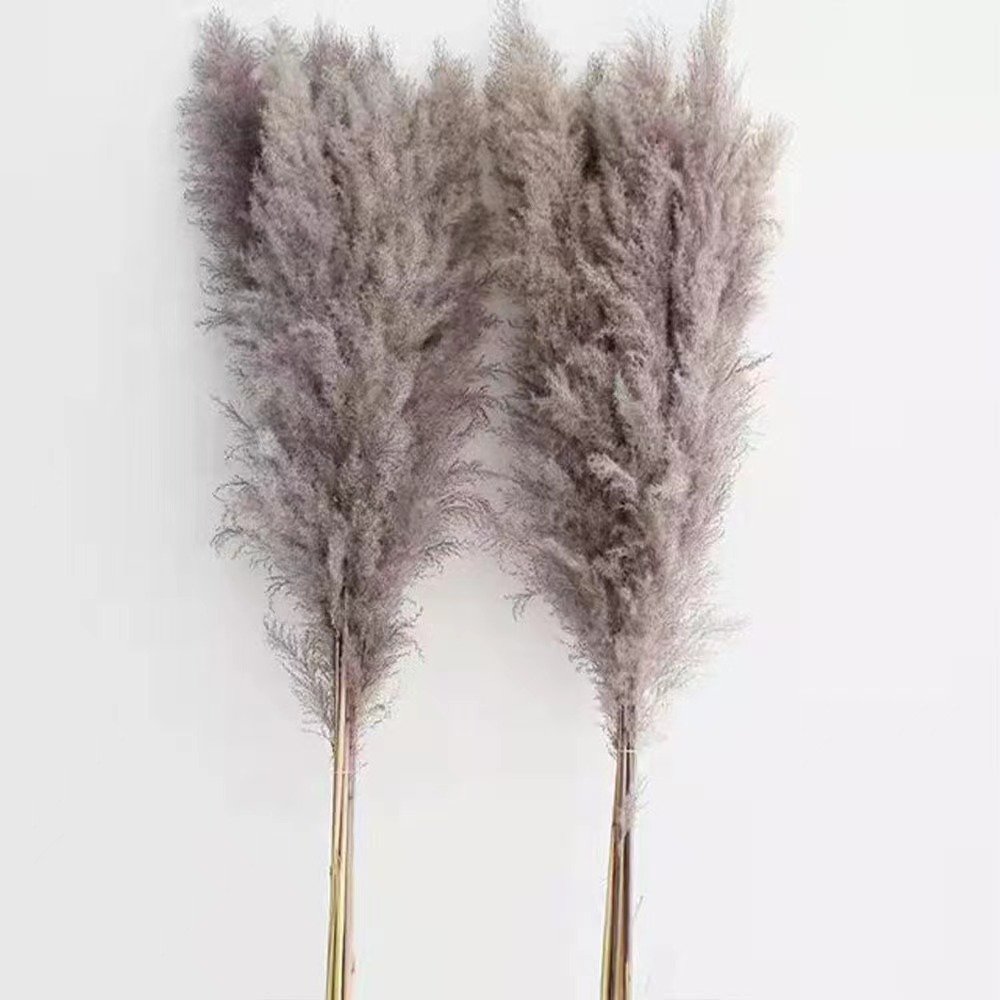 2024 favorite natural dried fluffy large pampas grass tall for wedding centerpieces& Event home decor