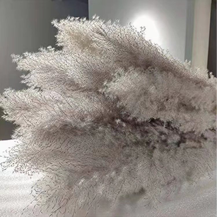 2024 favorite natural dried fluffy large pampas grass tall for wedding centerpieces& Event home decor