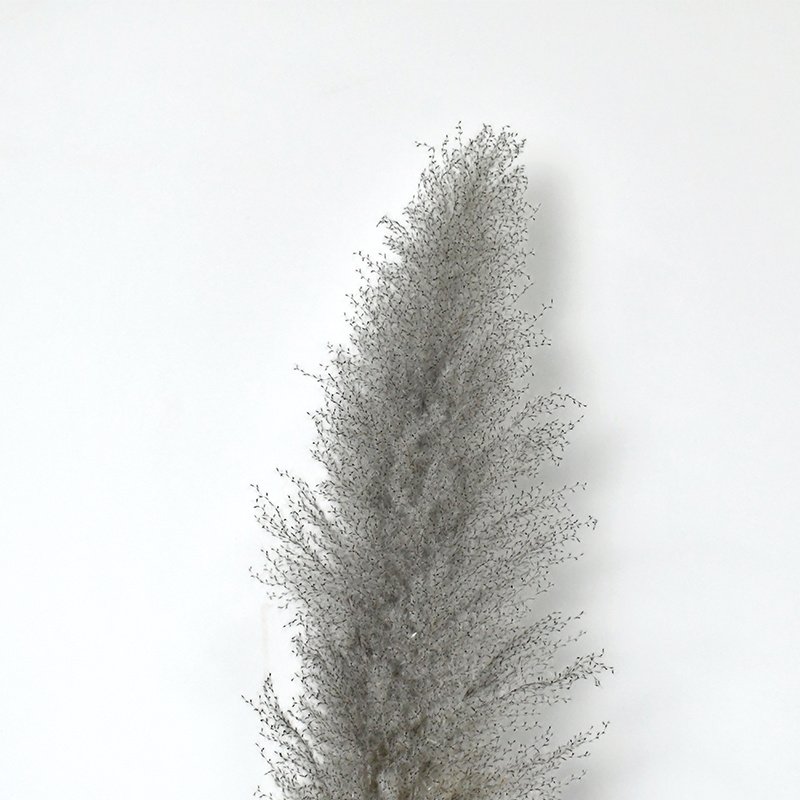 2024 favorite natural dried fluffy large pampas grass tall for wedding centerpieces& Event home decor