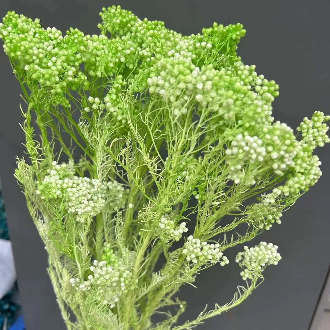 High Quality Real Touch Mini Rice Flower Dried Preserved Flower Bouquet Natural Stem Eternal Home Decoration