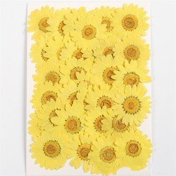 Yellow1