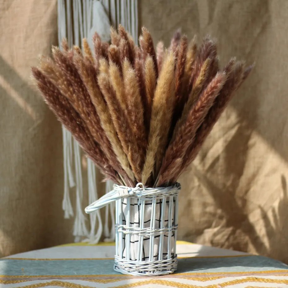 Top Seller Boho Wedding Decor 45 Cm Natural Pompas Grass Bunch Bleached White Dried Small Pampas Grass