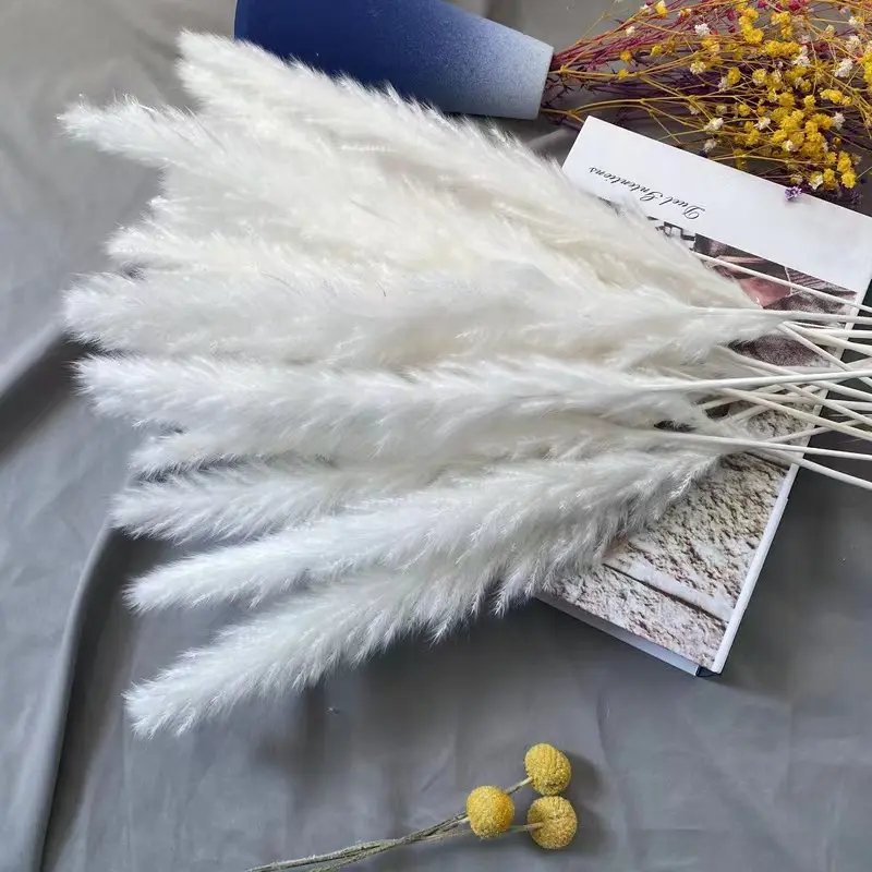 Top Seller Boho Wedding Decor 45 Cm Natural Pompas Grass Bunch Bleached White Dried Small Pampas Grass