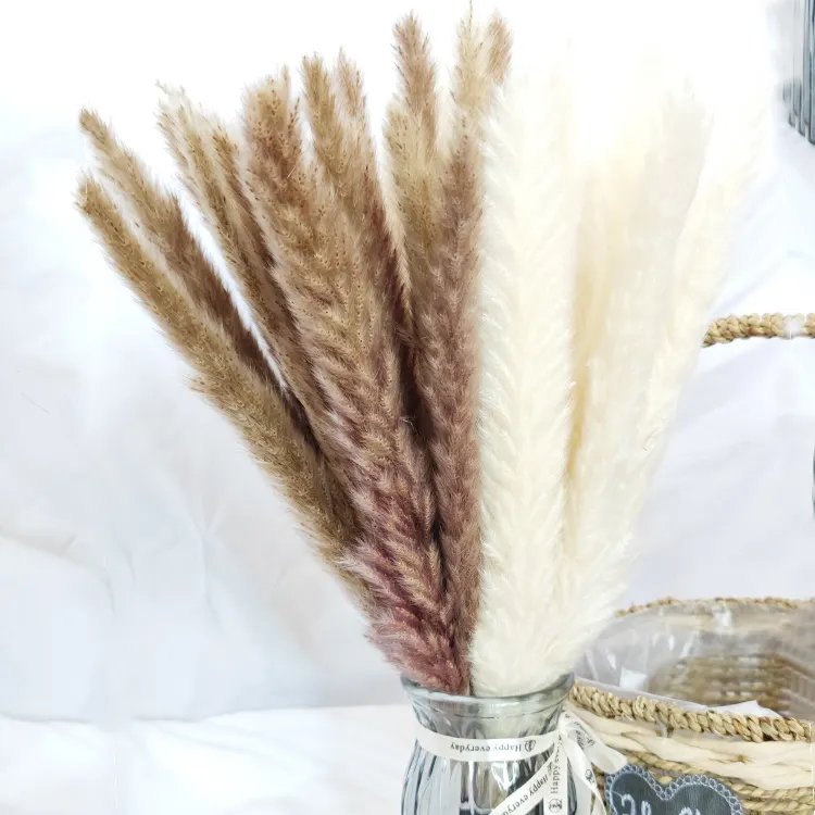 Top Seller Boho Wedding Decor 45 Cm Natural Pompas Grass Bunch Bleached White Dried Small Pampas Grass