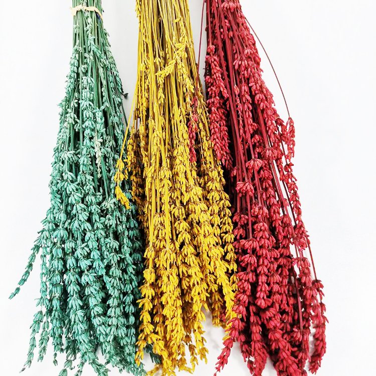 Summer Flora Factory Supply Dried Flowers Stabilized long lasting preserved Lavender Interior Decorative Flowers