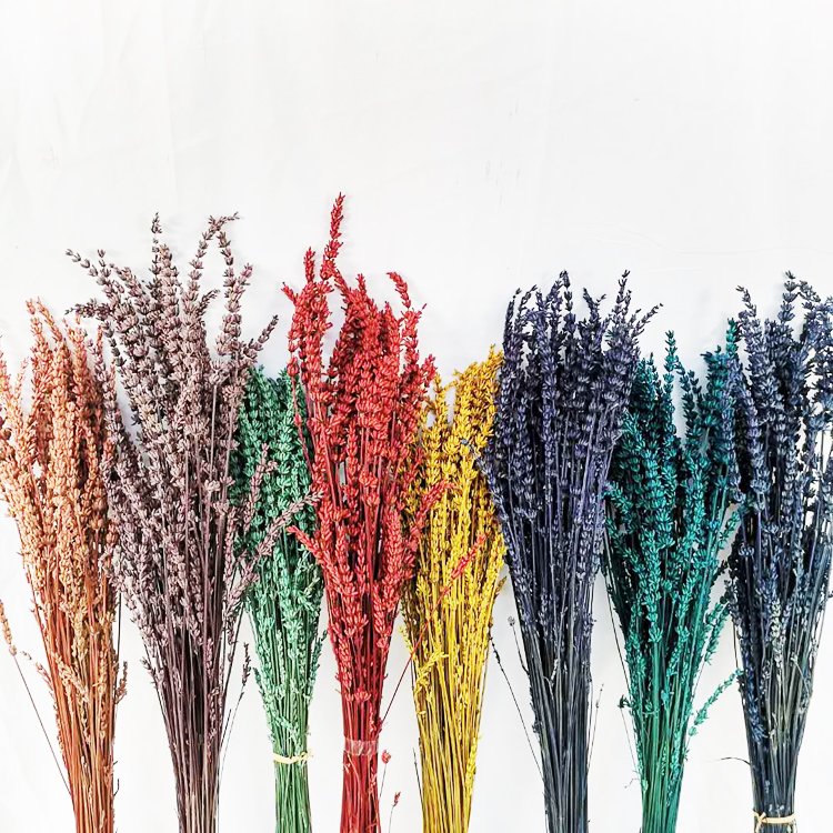 Summer Flora Factory Supply Dried Flowers Stabilized long lasting preserved Lavender Interior Decorative Flowers