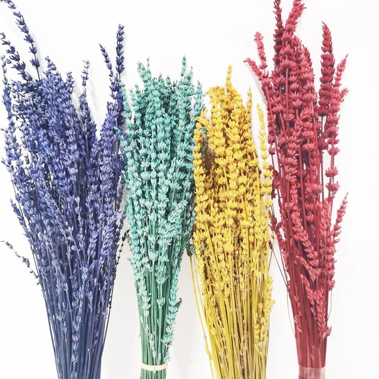 Summer Flora Factory Supply Dried Flowers Stabilized long lasting preserved Lavender Interior Decorative Flowers