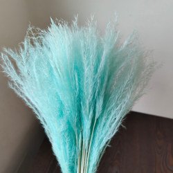 tiffany-blue
