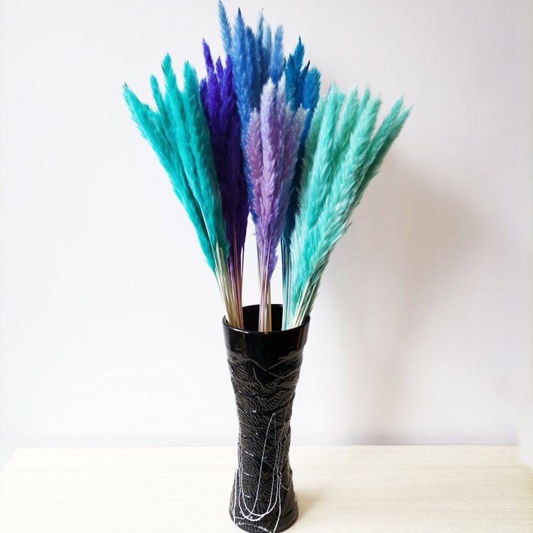 sumflora customized birthday gift 2024 China Factory The cute Hot Selling Long Stem dried flowers small pampas grass