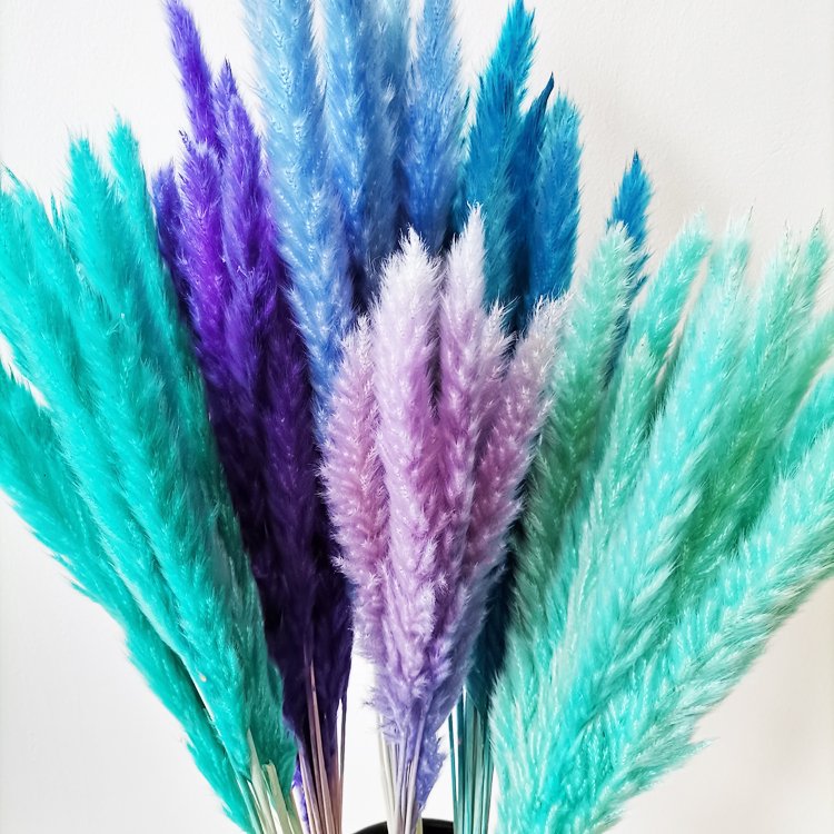 sumflora customized birthday gift 2024 China Factory The cute Hot Selling Long Stem dried flowers small pampas grass