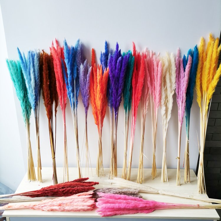 sumflora customized birthday gift 2024 China Factory The cute Hot Selling Long Stem dried flowers small pampas grass
