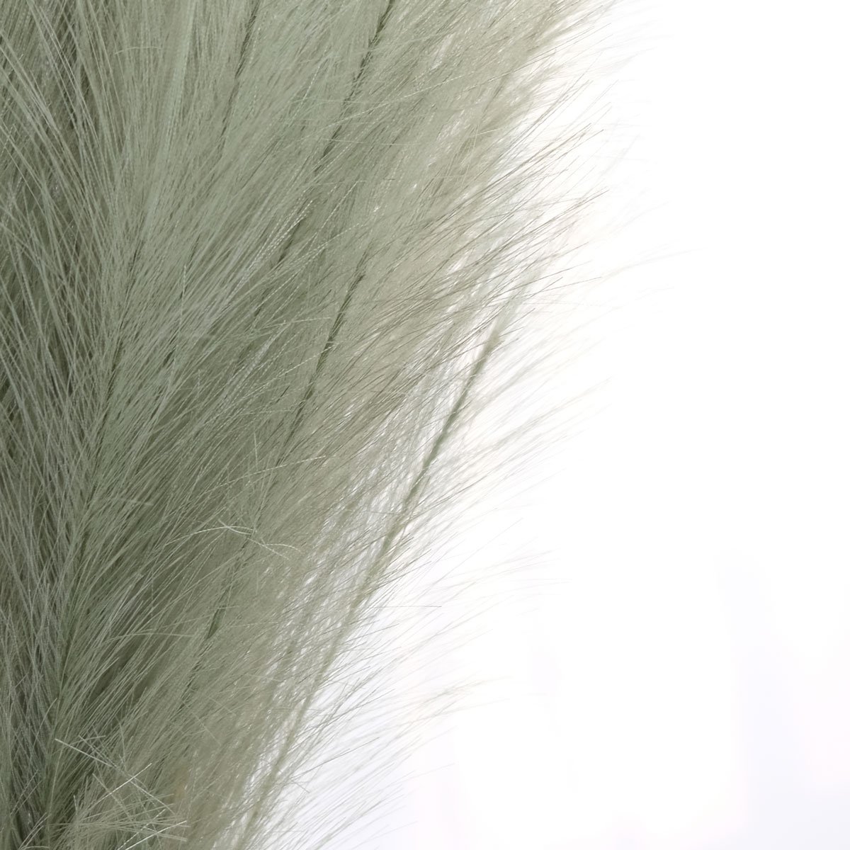 Faux Pampas Grass with Large Artificial Pampas Grass Stems and Low Maintenance Pampas Grass Decor