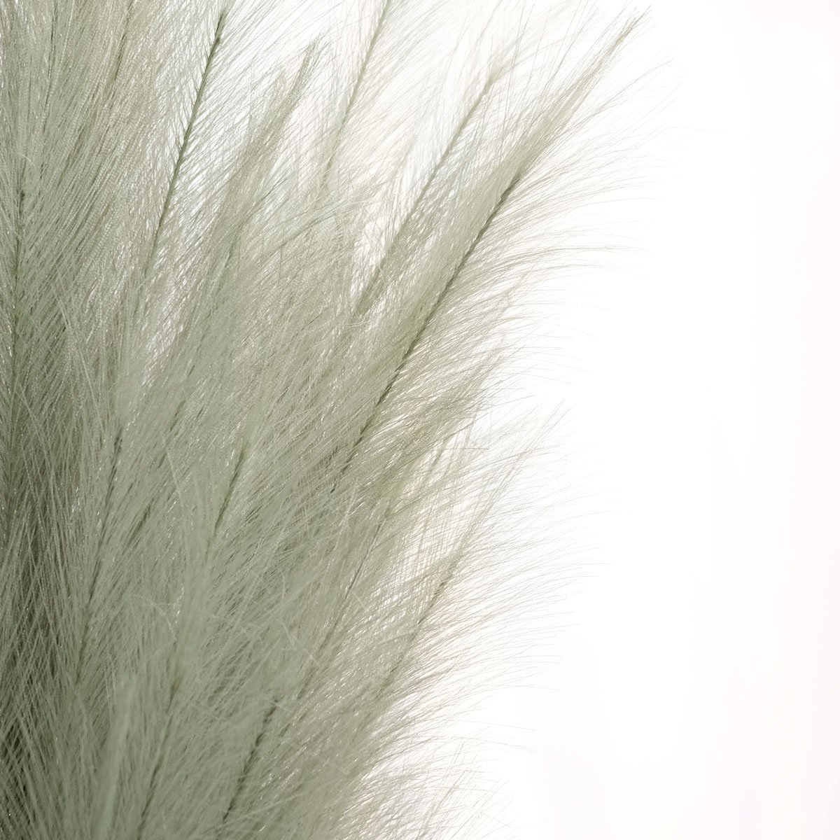 Faux Pampas Grass with Large Artificial Pampas Grass Stems and Low Maintenance Pampas Grass Decor