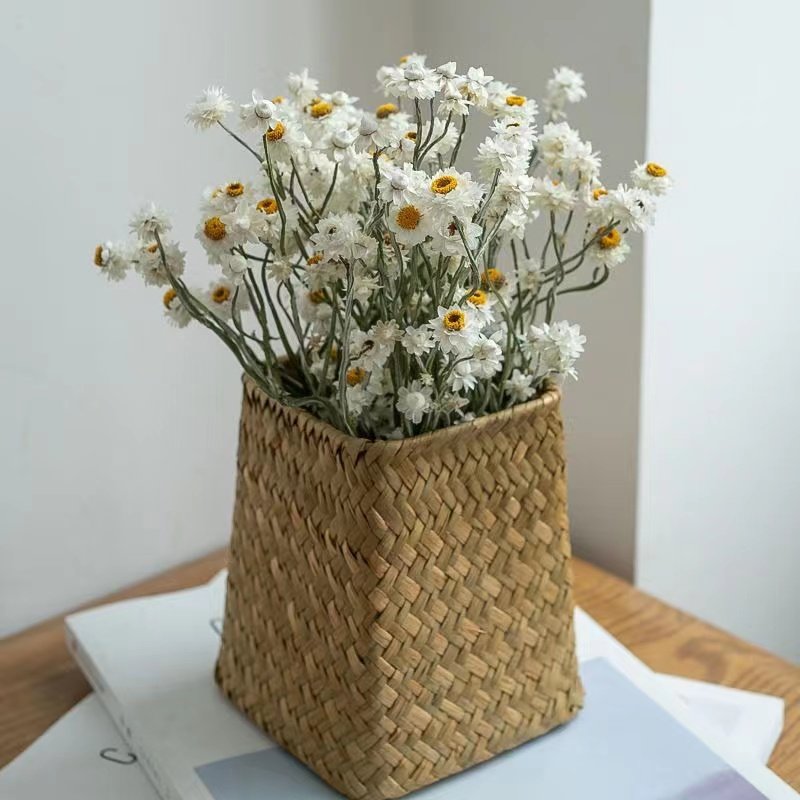 Wholesale Natural Dried Flowers Bouquet Daisy Flower Preserved Dried Rodanth for Home Decoration