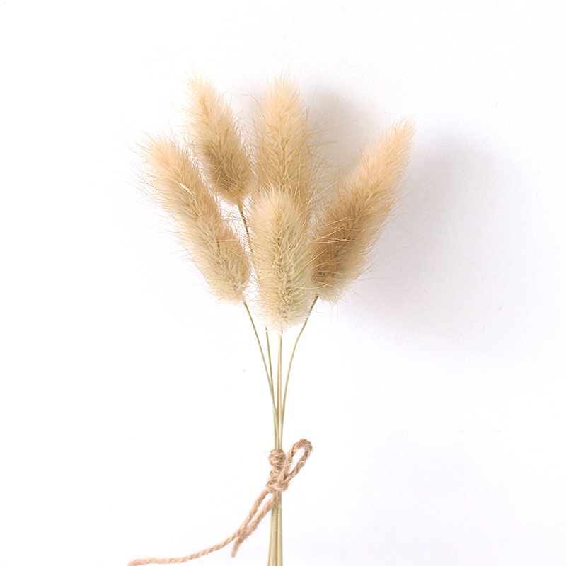Wholesale Natural Real Touch Dried Flowers Pampas Palm Preserved Flowers Small Mini Flower Bouquet For House Wedding Decoration