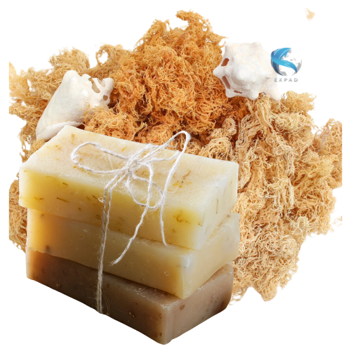 HANDMADE SEA MOSS SOAP BEST PRICE ALL SCENTS HIGH QUALITY VIETNAM
