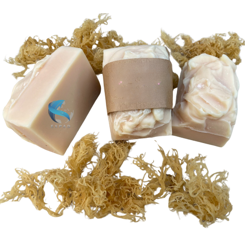 HANDMADE SEA MOSS SOAP BEST PRICE ALL SCENTS HIGH QUALITY VIETNAM