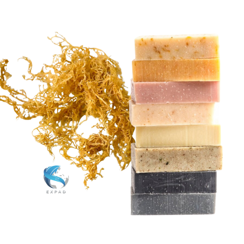 HANDMADE SEA MOSS SOAP BEST PRICE ALL SCENTS HIGH QUALITY VIETNAM