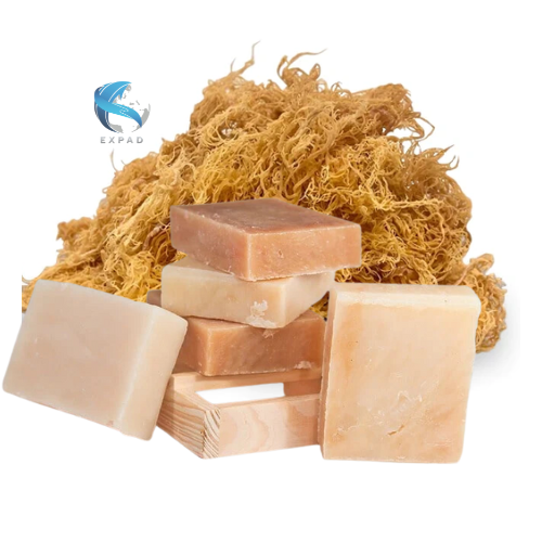 HANDMADE SEA MOSS SOAP BEST PRICE ALL SCENTS HIGH QUALITY VIETNAM