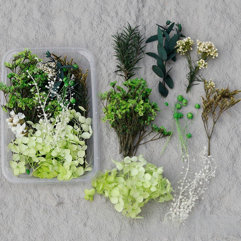 G70 Wholesale Mixed Pressed Dried Flowers Real Natural Dry Flower Diy Makeup Nail Phone Case Frame Plant Flower Specimens