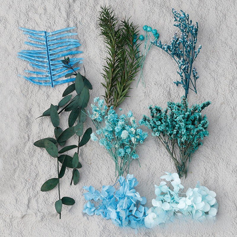 G70 Wholesale Mixed Pressed Dried Flowers Real Natural Dry Flower Diy Makeup Nail Phone Case Frame Plant Flower Specimens