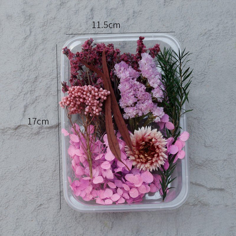 G70 Wholesale Mixed Pressed Dried Flowers Real Natural Dry Flower Diy Makeup Nail Phone Case Frame Plant Flower Specimens